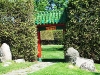 Picture 030