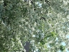 Picture 035