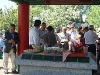 Picture 061