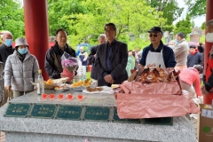 IMG-20220722-WA0028